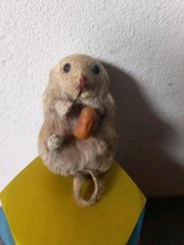 Ancienne souris naturalisée d'occasion  Pontchâteau