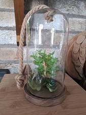 Fixed glass cloche for sale  NEWTOWNABBEY