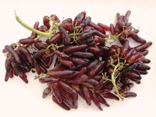 One witch finger for sale  Kingsburg