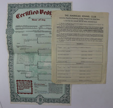 1950 certificate pedigree for sale  Phoenix