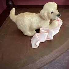 Leonardo andrex puppy for sale  BRIDGWATER