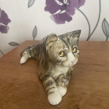 Winstanley tabby cat for sale Winstanley tabby cat for sale  KIDWELLY