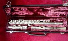 Querflöte buffet crampon gebraucht kaufen Querflöte buffet crampon gebraucht kaufen  Markneukirchen