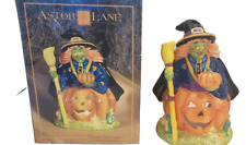 Astor lane witch for sale  Lebanon