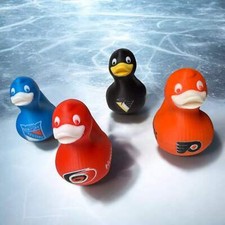 Hockey ducks team for sale  Erie