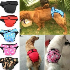 Couche culotte chien d'occasion  Expédié en France