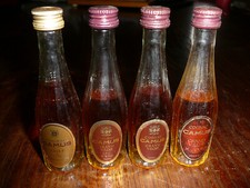 Mignonnettes mini bouteilles d'occasion  Limoges-