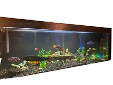 180 gallon fish for sale  Belchertown