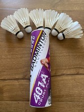 Dhs 401 badminton for sale  San Diego