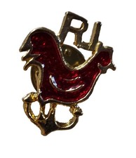 red chicken rhode island for sale  Mountain Home