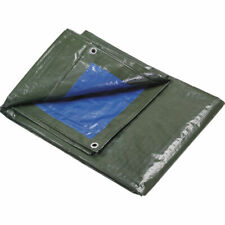 Telo verde pvc usato  Roma