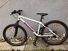Mountainbike damen gebraucht kaufen  Öpfingen