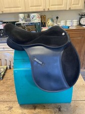 Thorowgood maxam pony for sale Thorowgood maxam pony for sale  SHEPTON MALLET