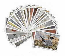 sammelbild greiling gebraucht kaufen  Herzberg