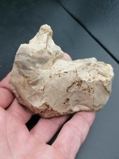 Middle paleolithic neanderthal d'occasion  Bonneville
