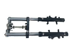 Forcella completa kawasaki usato  Massa di Somma
