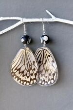 Real butterfly wings for sale  Austin