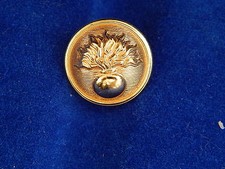 Bouton button pompier d'occasion  Artenay