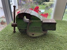 Early marples shamrock for sale  NEWMARKET