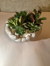 Faux succulent artificial for sale  Bethel