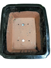 Bonsai tree pot for sale  Butte