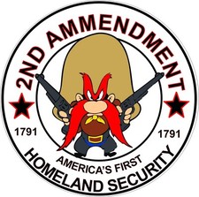 2nd amendment sticker for sale  Corona