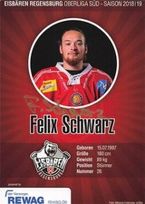 Felix schwarz eisbären gebraucht kaufen  Regensburg