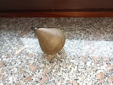 Vecchia trottola vintage usato  Virle Piemonte