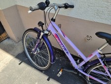 Fahrrad pegasus 26zoll gebraucht kaufen  Flein