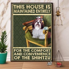 Shih tzu this d'occasion  Expédié en Belgium