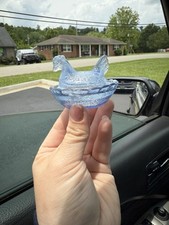 Beautiful blue mini for sale  Hazel Green
