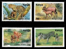 Kenya 2004 wild for sale  Brooklyn