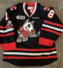 Game worn used for sale  East Amherst