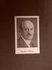 Onorevole mastino pietro usato  Villarosa