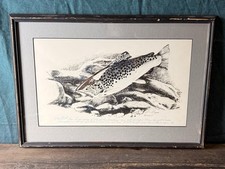 Andriese hand colored for sale  Meeker