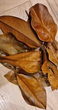12xmagnolia leaves. bioactive for sale  ROYSTON