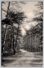 Drive pines country for sale  Harbor Beach
