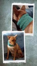 Handmade crochet dog for sale  Carver
