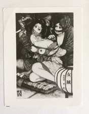 Fotografie zeichnung erotik gebraucht kaufen  Göppingen