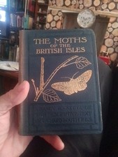 Moths british isles for sale  LONDON