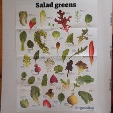 Salad greens poster for sale Salad greens poster for sale  YEOVIL