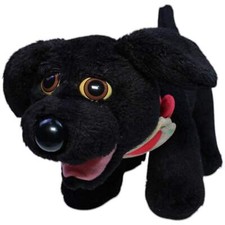Süßer hund schwarz gebraucht kaufen  Neusäß