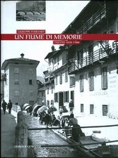 Fiume memorie trento usato  Italia