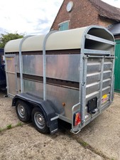 40lt bateson livestock for sale  WESTERHAM