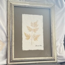 Pier pressed fern for sale  New Philadelphia