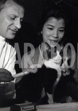 Vintage animali domestici usato  Roma