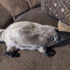 Folkmanis baby platypus for sale  Cortland
