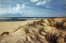 Mimizan-Beach - Exit of the current, the dike, the dune comprar usado  Enviando para Brazil