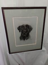 Black labrador original for sale  NORWICH