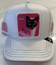 farm kitties for sale farm kitties for sale Atlanta